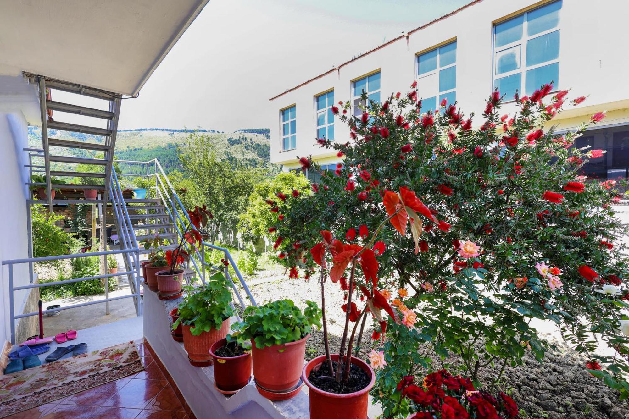 Вилла Samuela Cozy Retreat Берат Экстерьер фото